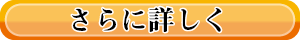 詳細ページ