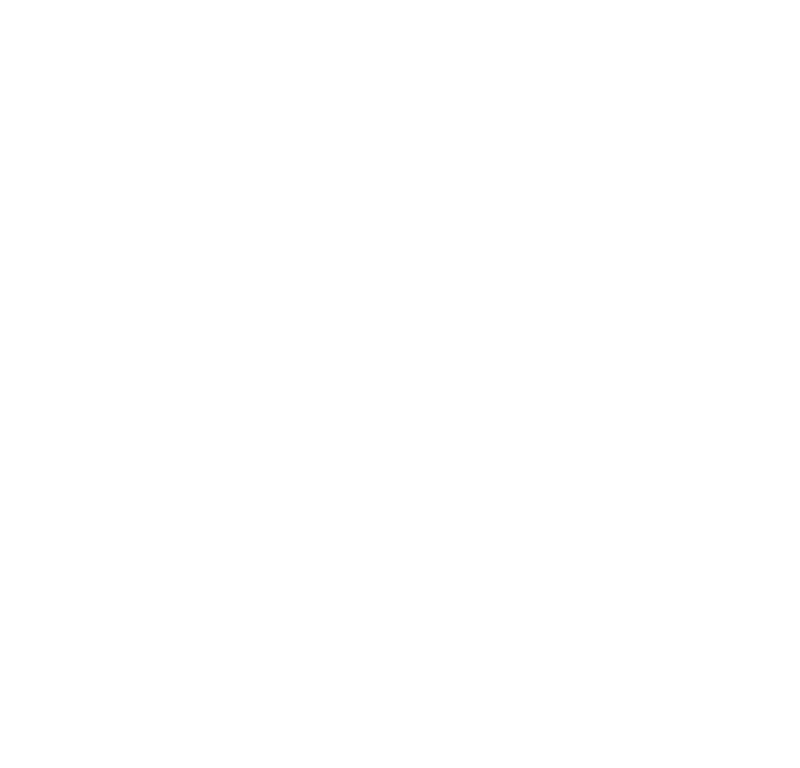 19周年ロゴ 山形デリヘル デイトナ